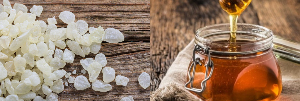 Discover the Richness of Greece's Liquid Gold : Greek Honey with PDO Chios Mastic (Mastiha).