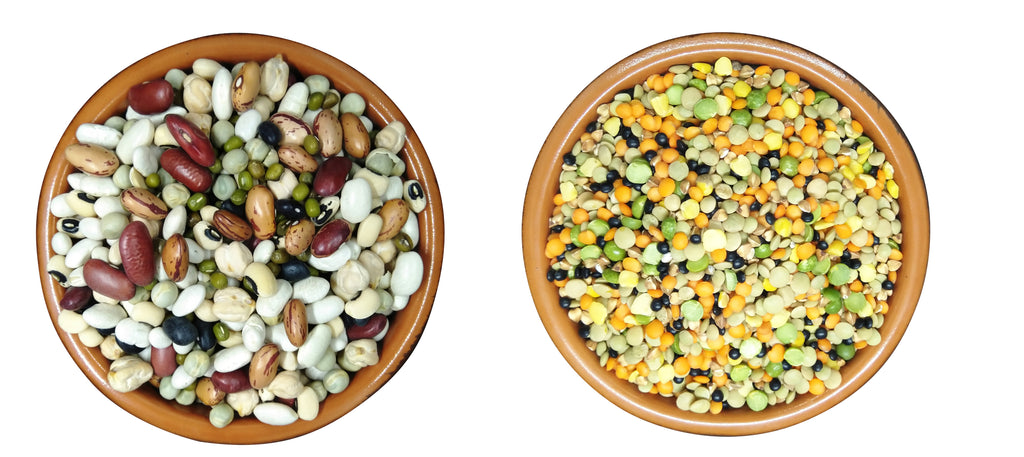 Pulses : the new trend of plant-based nutrition !!