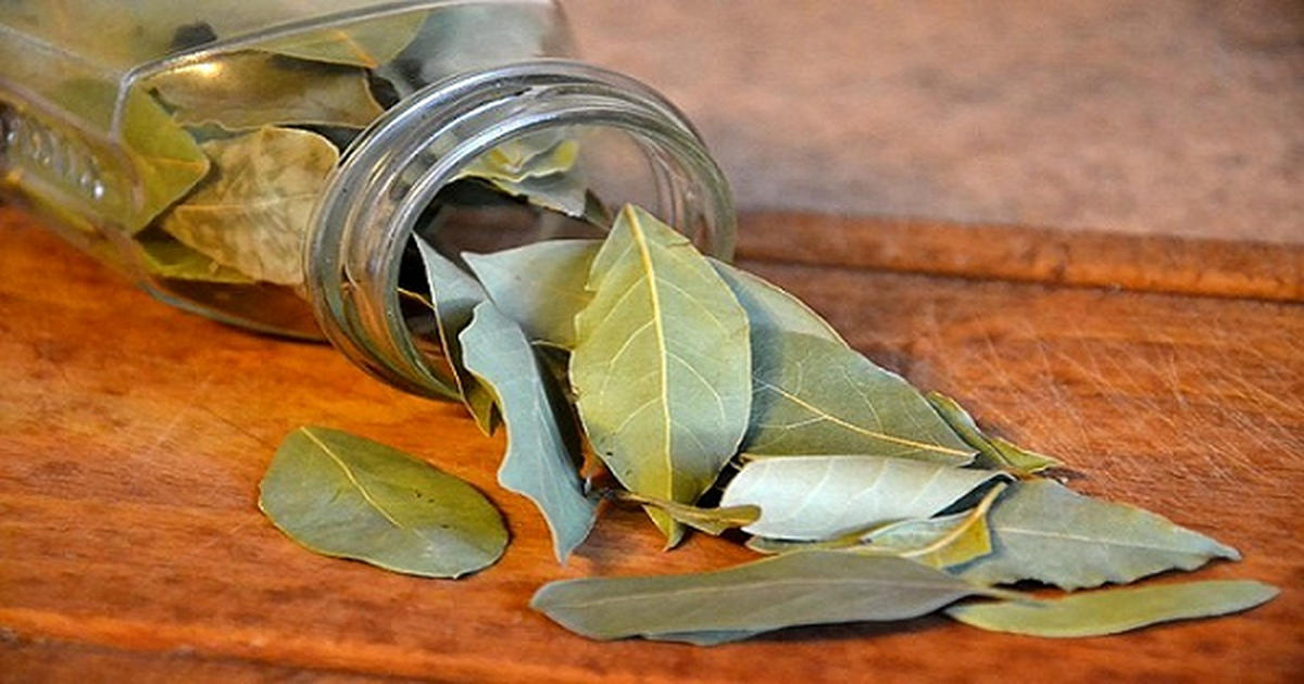 Greek Dried Bay Laurel Leaves 8
