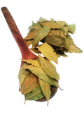Greek Dried Bay Laurel Leaves 7
