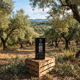 Greek Corinthian Extra Virgin Olive Oil 5lt 1i