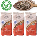 Greek Lentils Traditional Legumes Variety 2