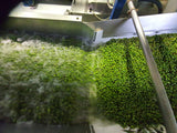 High Polyphenol Limited Production Greek Extra Virgin Olive Oil 7