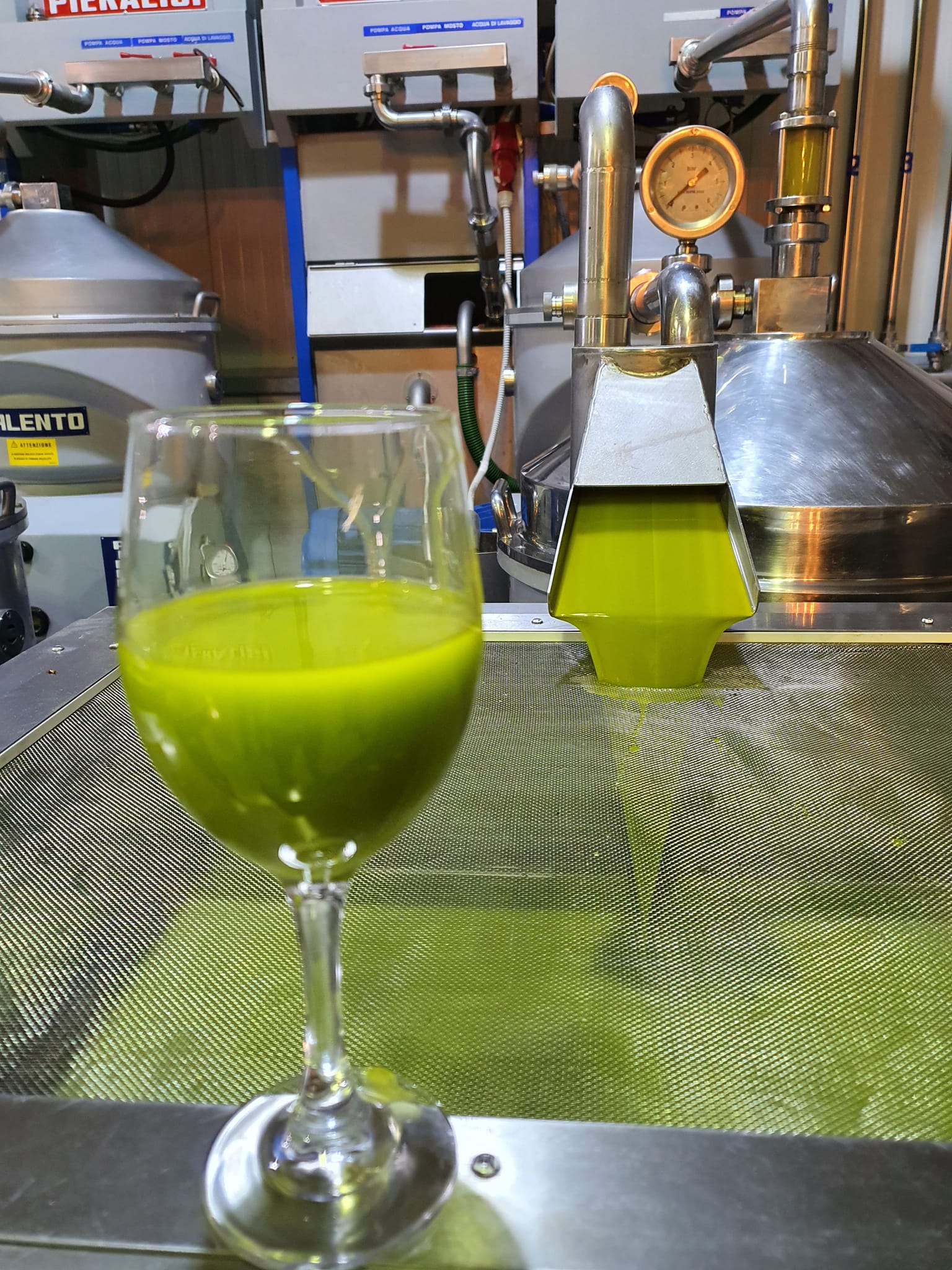 High Polyphenol Limited Production Greek Extra Virgin Olive Oil 9