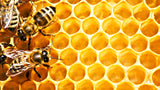 Greek Raw Organic Forest & Flowers Honey 2