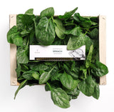 Greek Handmade Spinach Grissini 1