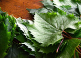 Greek Organic (Bio) Vine Leaves 950gr Glass Jar 12