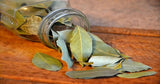 Greek Dried Bay Laurel Leaves 8