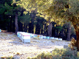 Greek Raw Organic Pine Honey 2