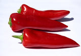 Greek Roasted Red Peppers Florinis Traditional Variety 8