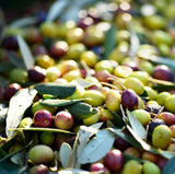 Assorted Greek Olives with Oregano from Crete 5