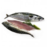 Greek Mackerel Fillets in Olive Oil 8