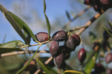 Greek Kalamata Olives 2