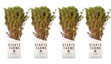 Greek Dried Oregano Bunch 3