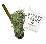 Greek Sage Leaves 8