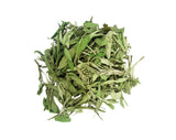 Greek Sage Leaves 9