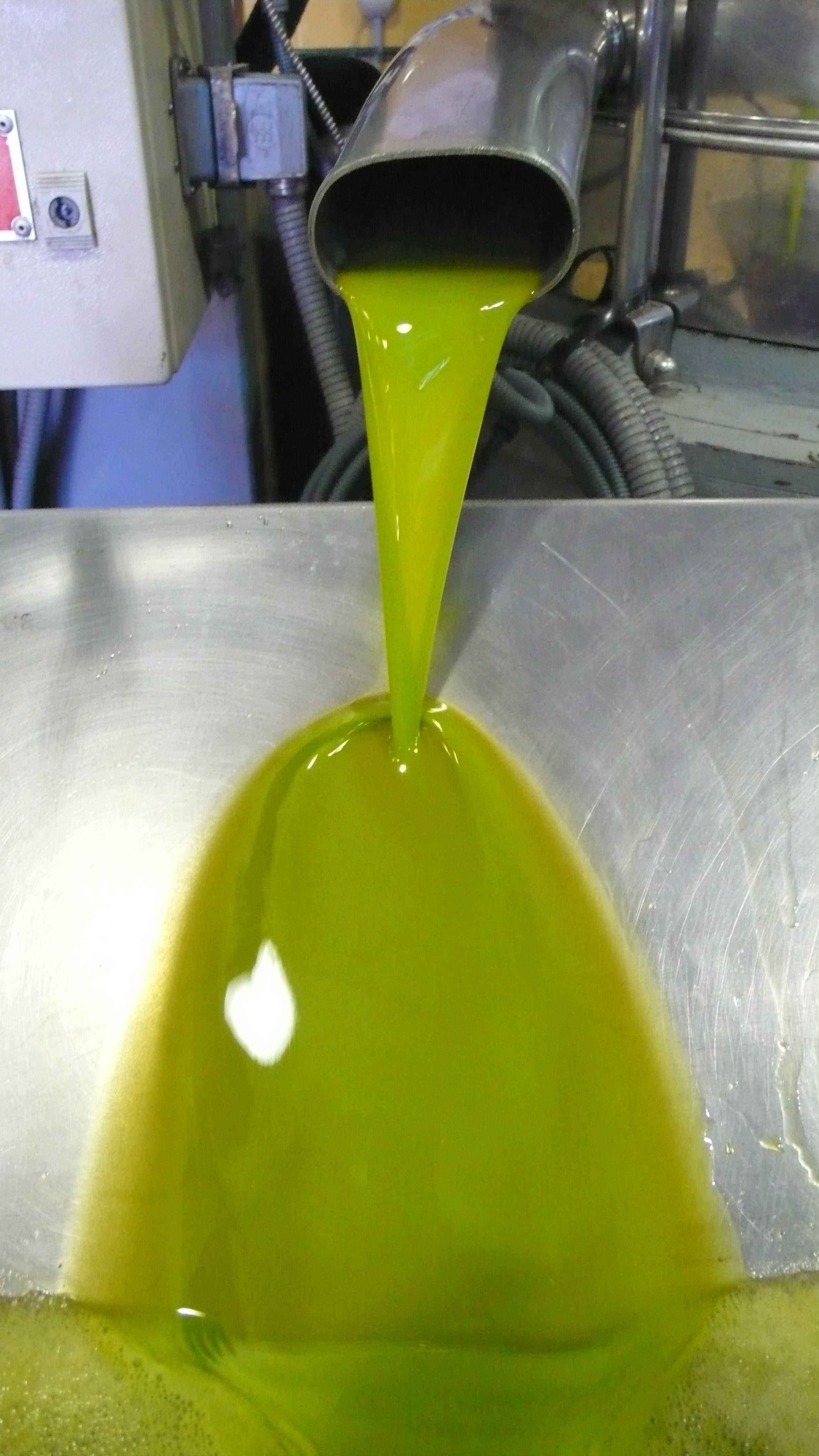 Greek Early Harvest Green Extra Virgin Olive Oil (Agourelaio) 7