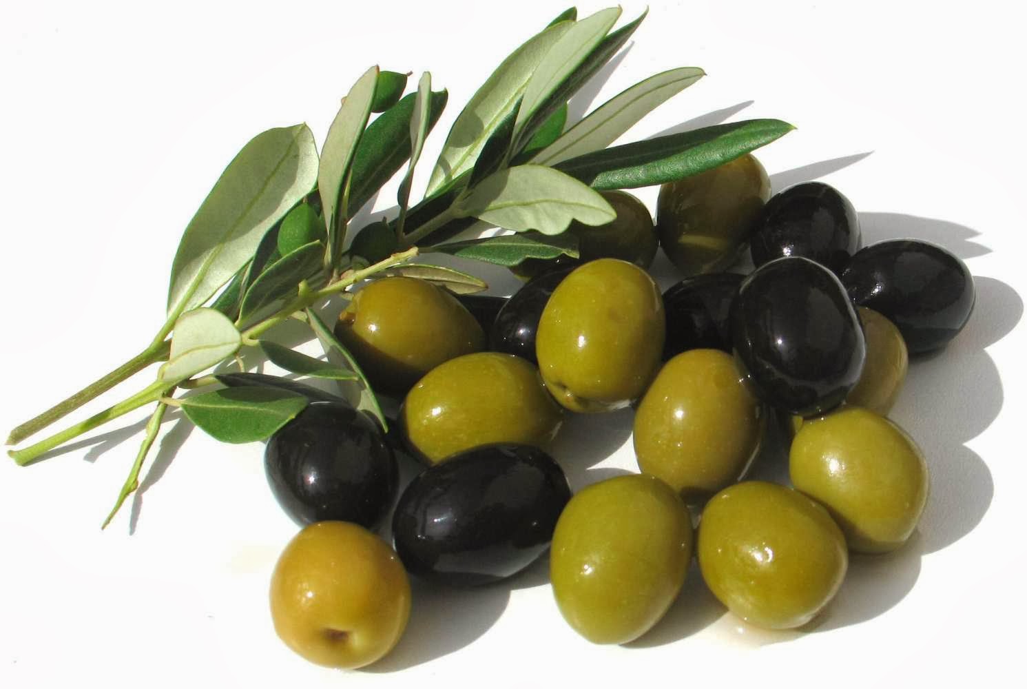Greek Assorted Olives 10